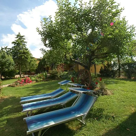 Beautiful Holiday With Swimming Pool In Tuscany Cortona